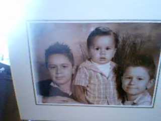 Arrivage de photos loll
